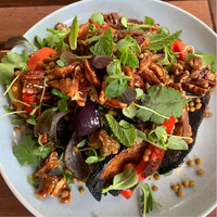 Roast Pumpkin and Walnut Salad Recipe image